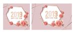 2019 猪年 春节