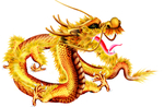 龙