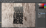 logo样机