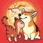夕阳下相爱猫咪和柯基犬