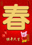 猪年