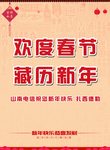 山南电信新年地贴