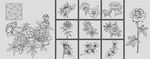矢量白描花卉系列