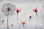彩绘花朵蒲公英