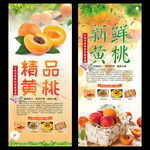 黄桃易拉宝