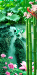 唯美荷花池玄关