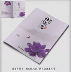荷花封面
