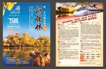 胡杨林彩页