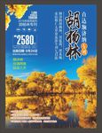胡杨林海报