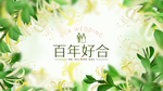 百年好合婚礼展板