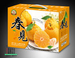春见手提箱平面图
