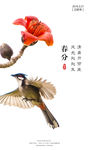 春分