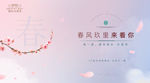 春天画面