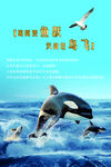 企业文化海报