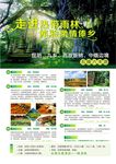 走进热带雨林体验柔情泰乡