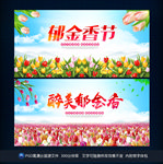 郁金香