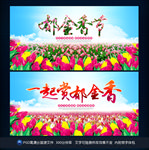郁金香