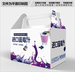 蓝莓汁包装设计