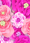 鲜花图案