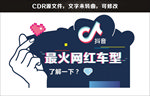 网红车顶牌