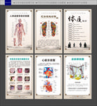 中医文化 组织图