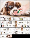 宠物医院宣传兽医工作报告PPT