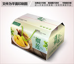 清新绿色榴莲包装箱礼盒设计