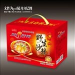 沙棘包装