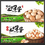 土鸡蛋