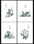 植悟