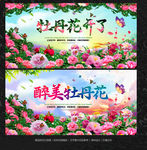 牡丹花