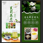茉莉花茶