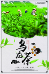 茶