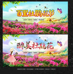 杜鹃花