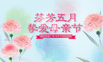 背景板