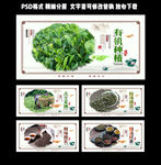 茶叶