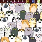 猫
