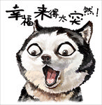 恶搞二哈印刷图