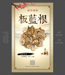 板蓝根