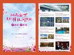 桃花盛世DM