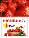 草莓上市了