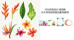 彩色美丽小清新质感插画花与叶子