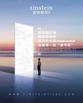 爱因斯坦瓷砖