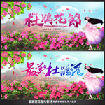 杜鹃花
