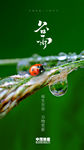 二十四节气谷雨微信朋友圈刷屏图