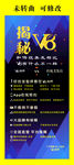 揭秘V8 美发展架