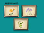 装饰画