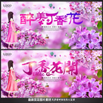 丁香花