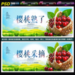 樱桃