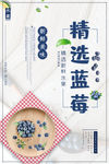蓝莓海报